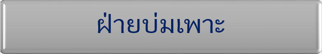 ฝ่ายบ่มเพาะ