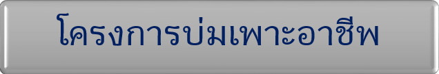 โครงการบ่มเพาะอาชีพ